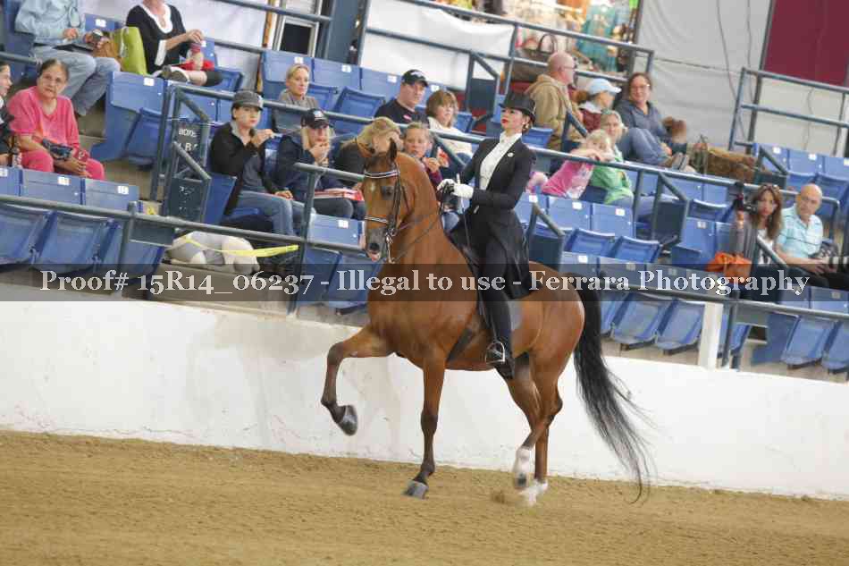 Proof 15R14_06237