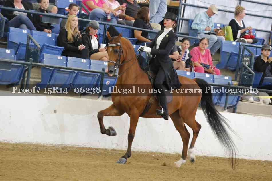 Proof 15R14_06238