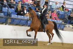 15R14_06238 proof