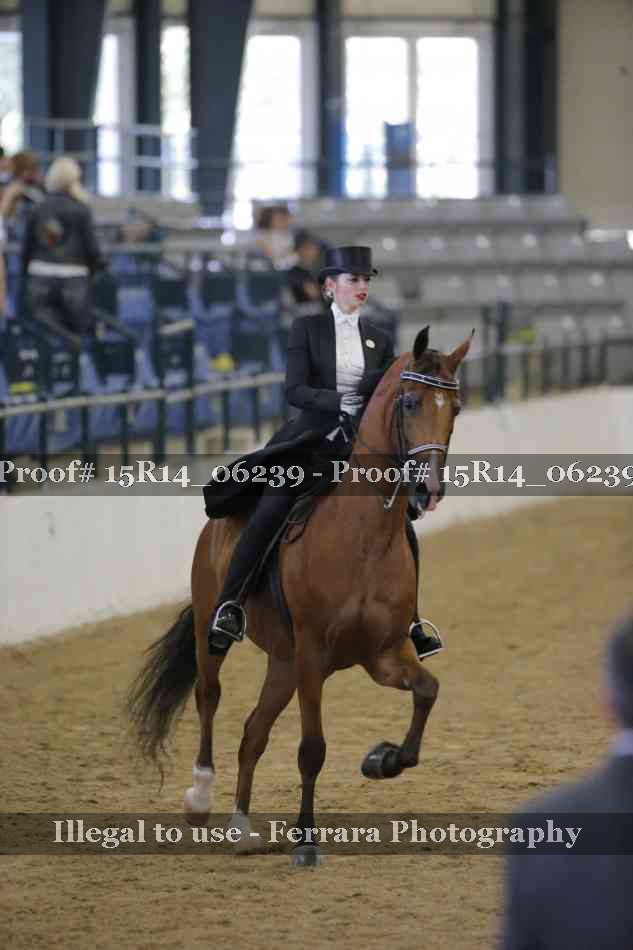 Proof 15R14_06239
