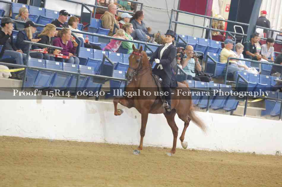 Proof 15R14_06240