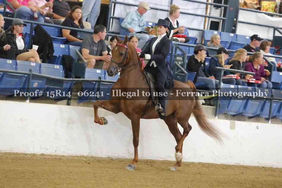 Proof 15R14_06241