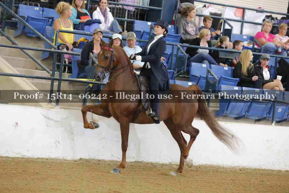 Proof 15R14_06242