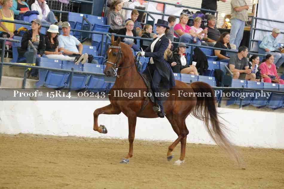 Proof 15R14_06243