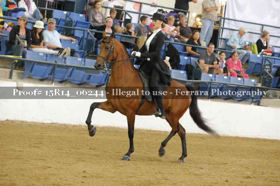 Proof 15R14_06244