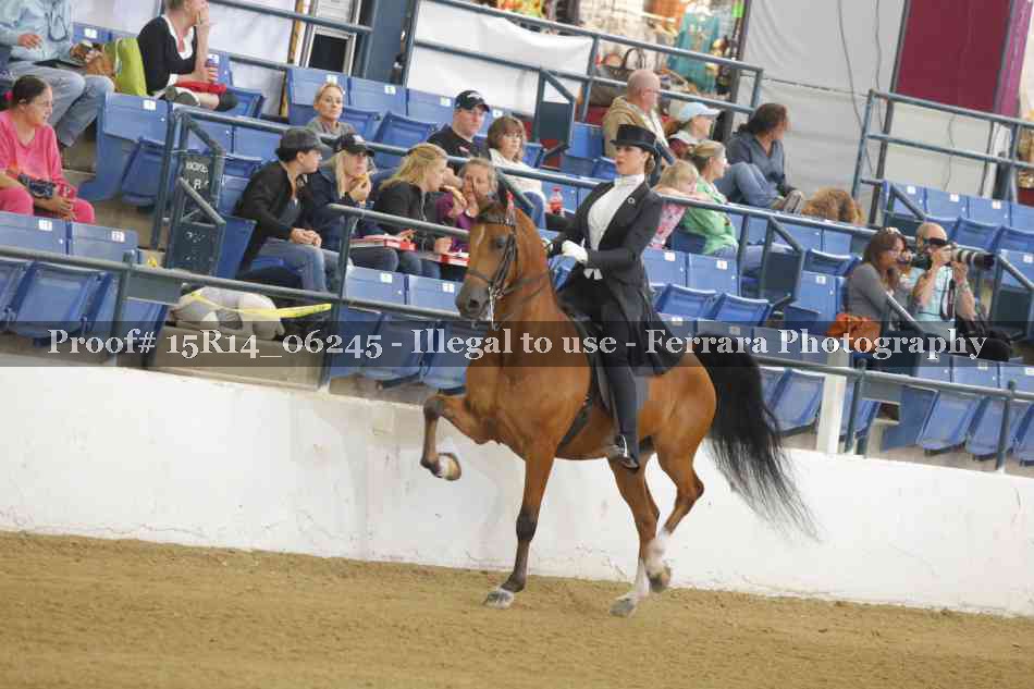 Proof 15R14_06245