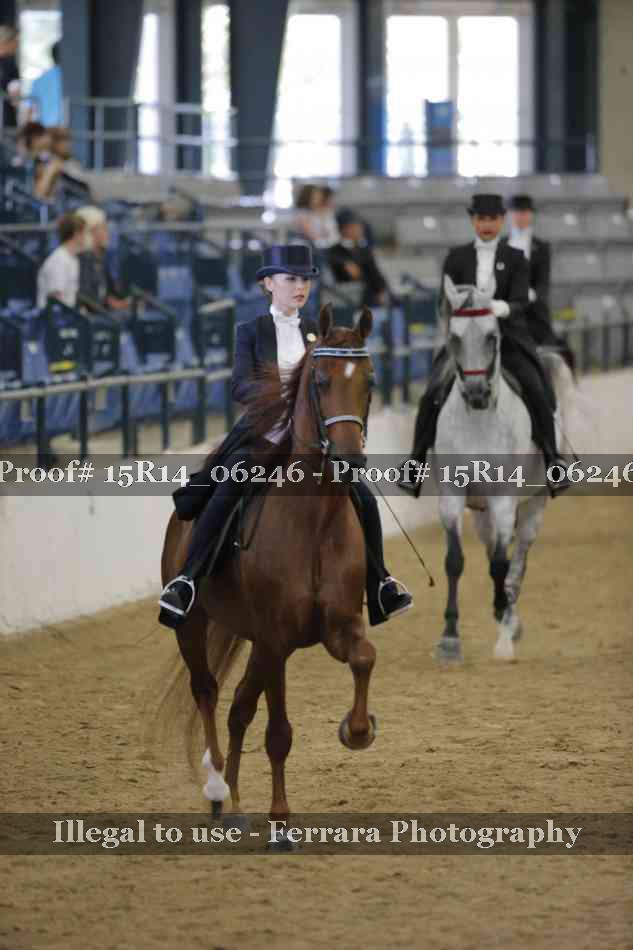 Proof 15R14_06246