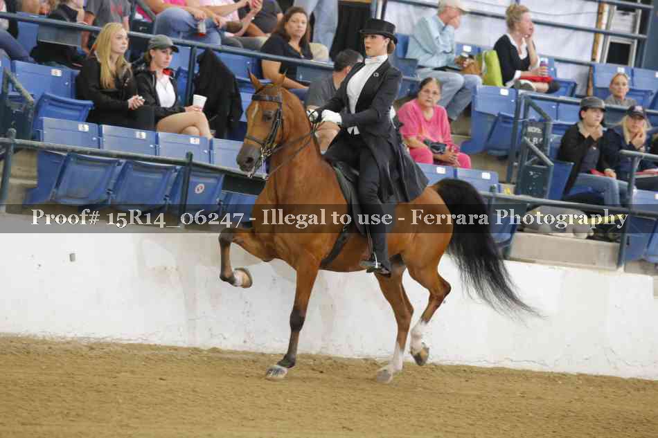 Proof 15R14_06247