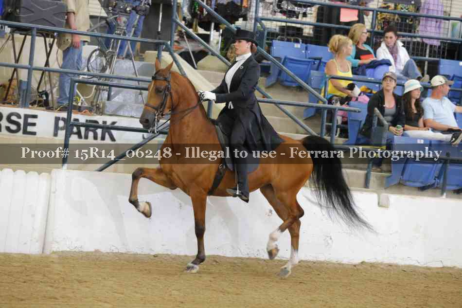Proof 15R14_06248