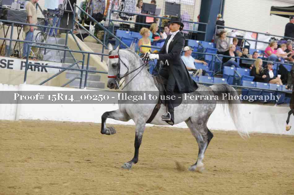 Proof 15R14_06250