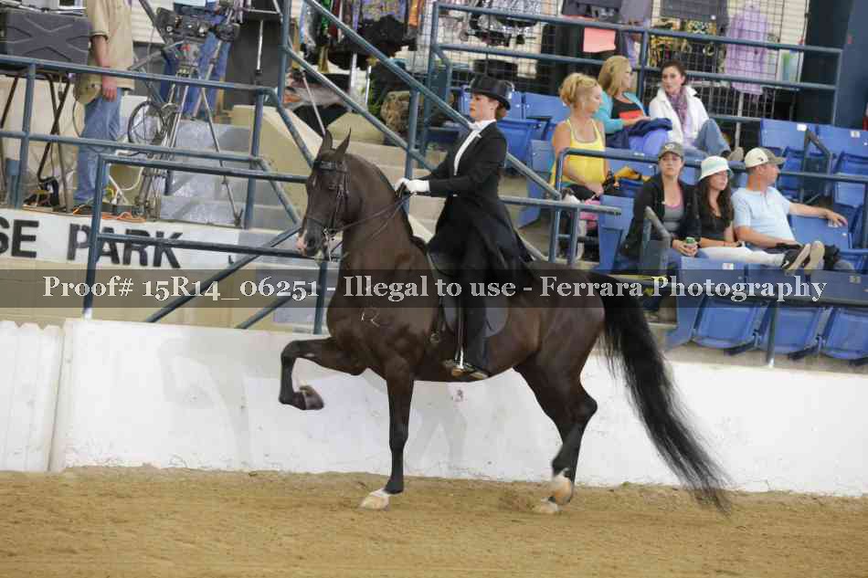 Proof 15R14_06251