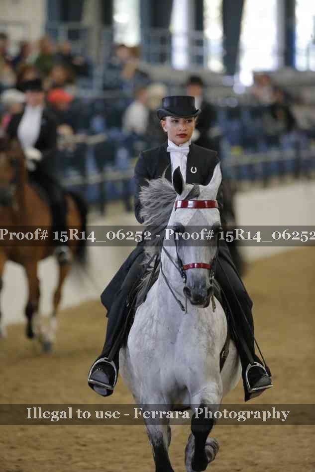 Proof 15R14_06252