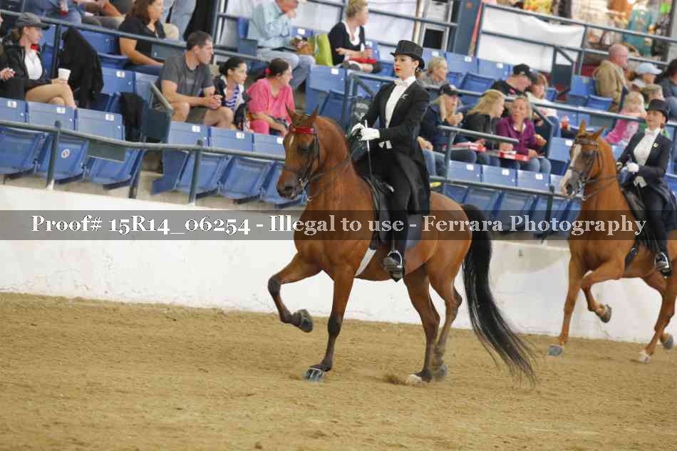 Proof 15R14_06254