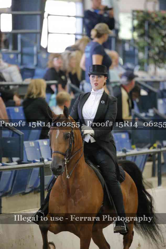 Proof 15R14_06255