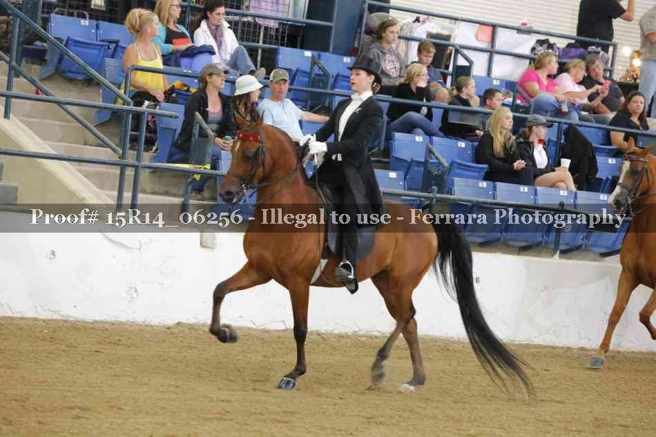 Proof 15R14_06256