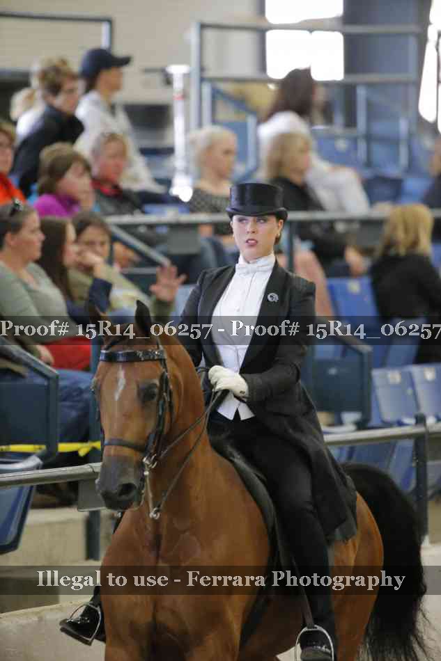 Proof 15R14_06257