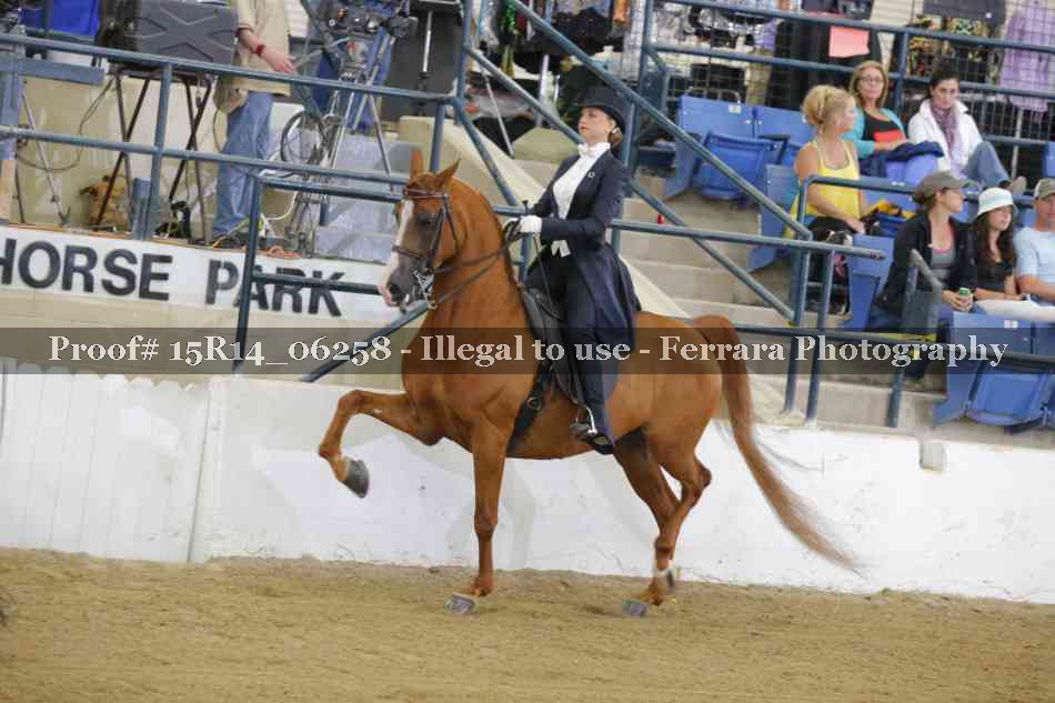 Proof 15R14_06258