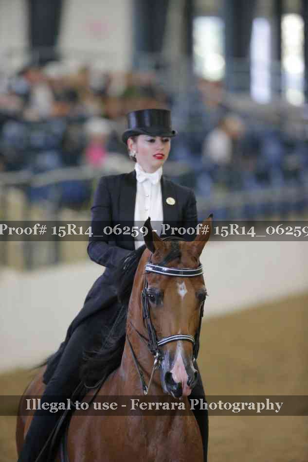 Proof 15R14_06259