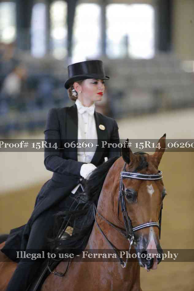 Proof 15R14_06260