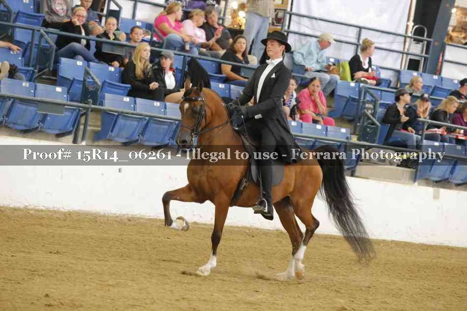 Proof 15R14_06261