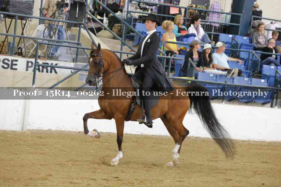 Proof 15R14_06262