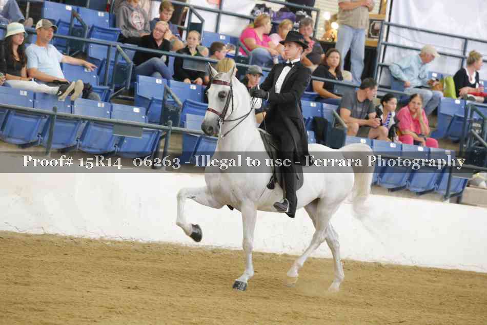 Proof 15R14_06263