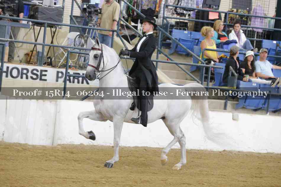 Proof 15R14_06264