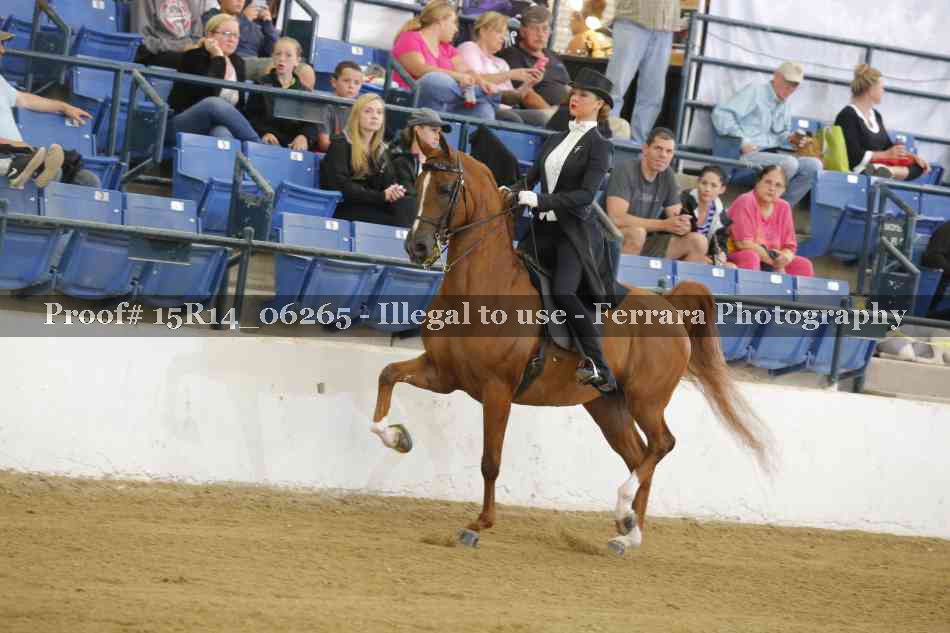 Proof 15R14_06265