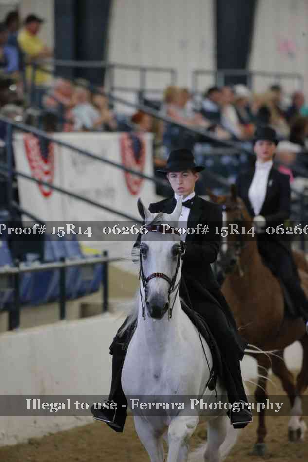 Proof 15R14_06266