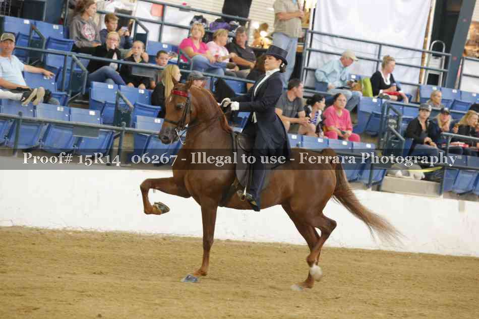 Proof 15R14_06267