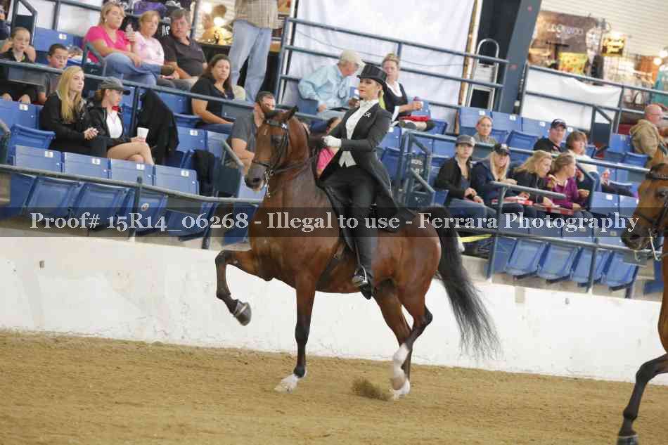 Proof 15R14_06268