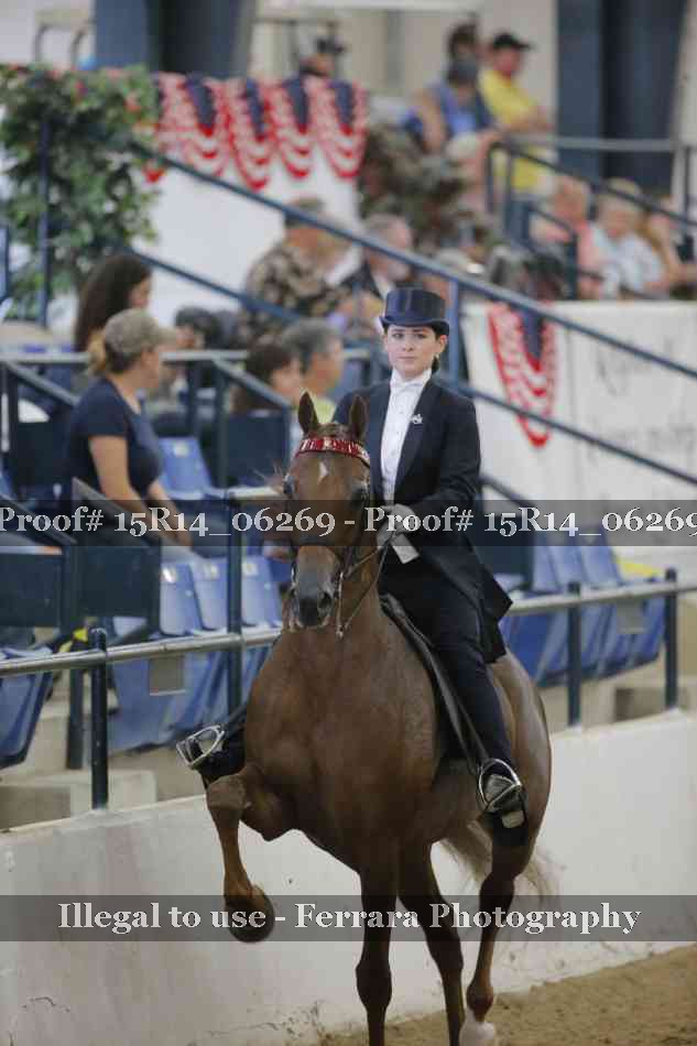 Proof 15R14_06269