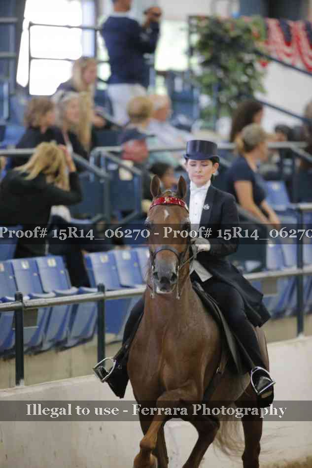 Proof 15R14_06270