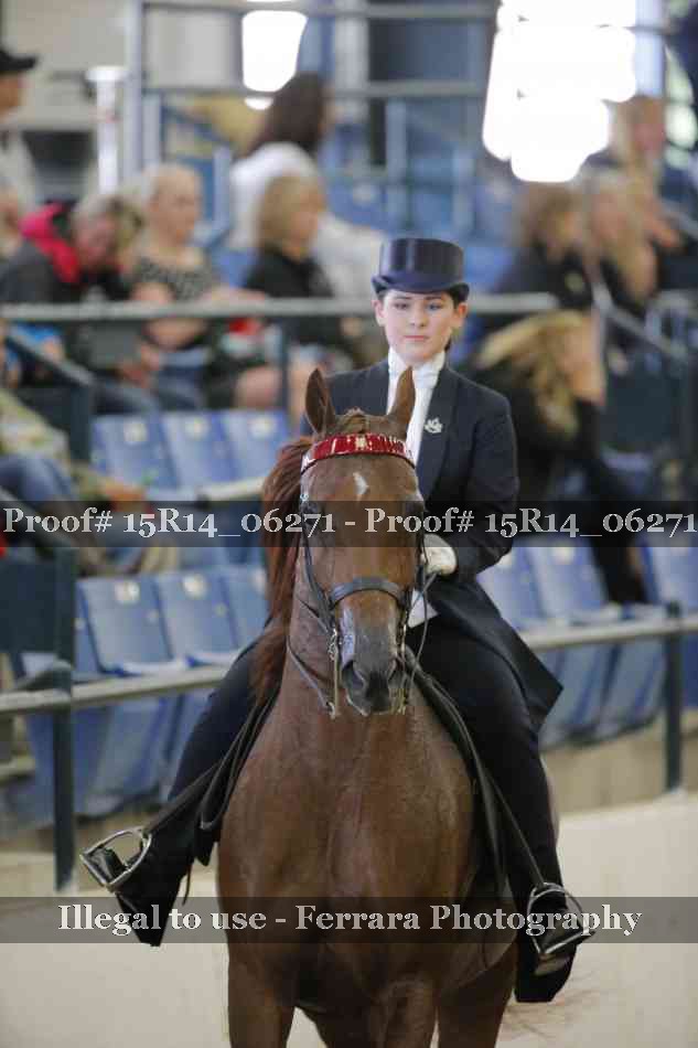 Proof 15R14_06271