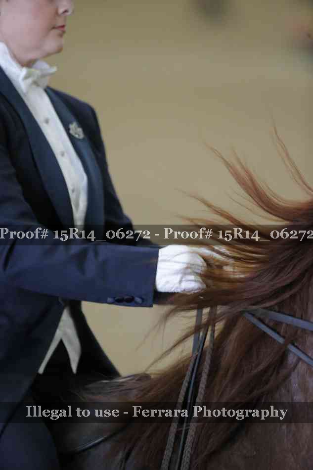 Proof 15R14_06272