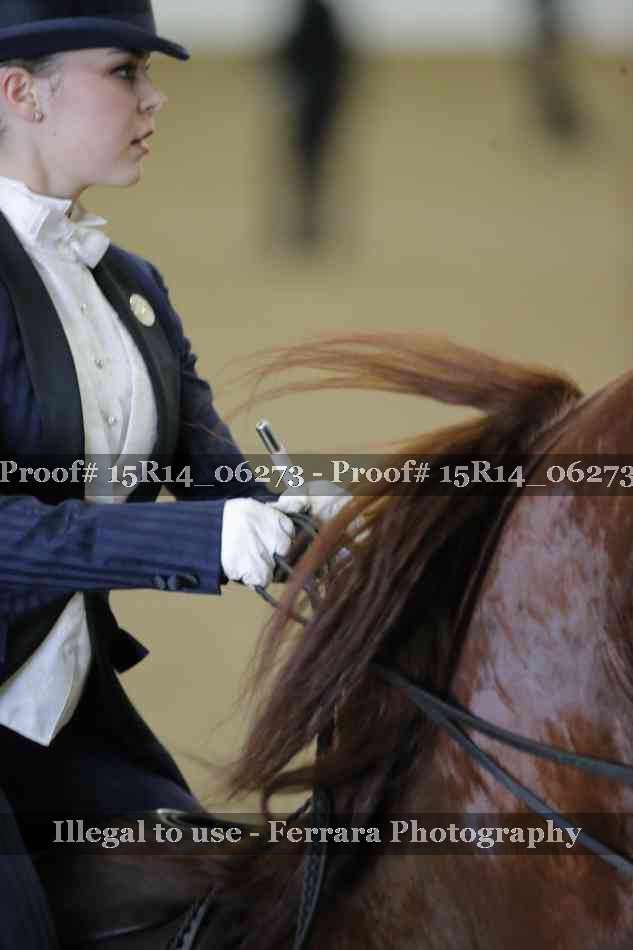 Proof 15R14_06273