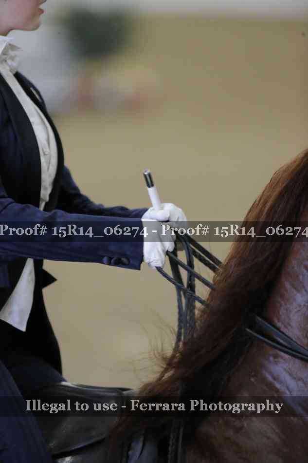 Proof 15R14_06274