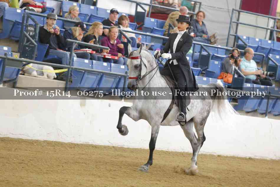 Proof 15R14_06275