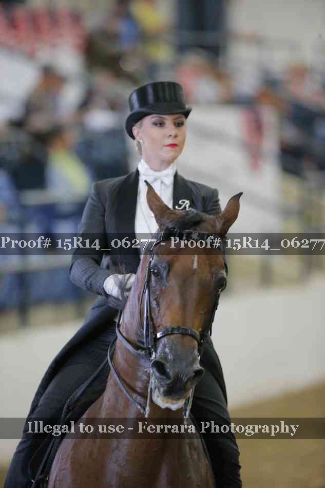 Proof 15R14_06277
