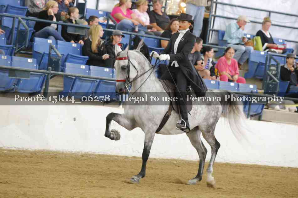 Proof 15R14_06278
