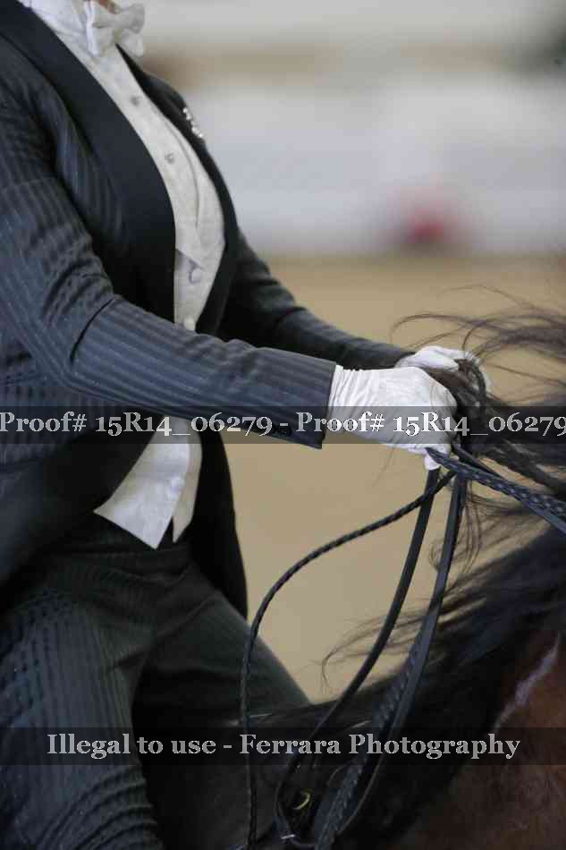 Proof 15R14_06279