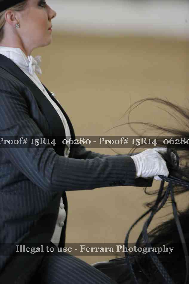 Proof 15R14_06280