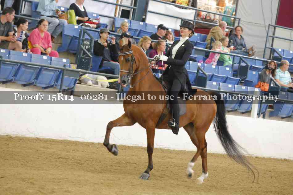 Proof 15R14_06281