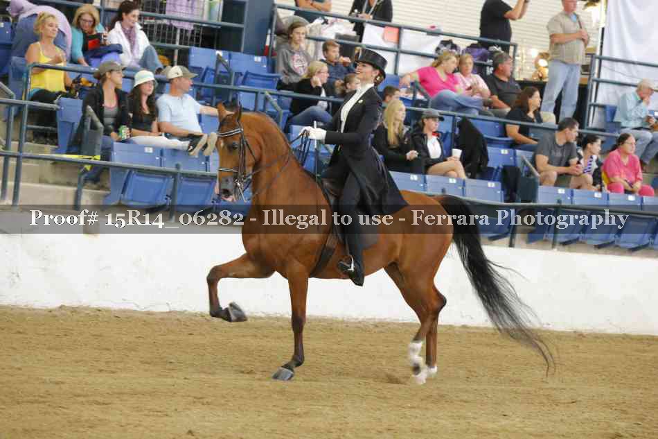 Proof 15R14_06282