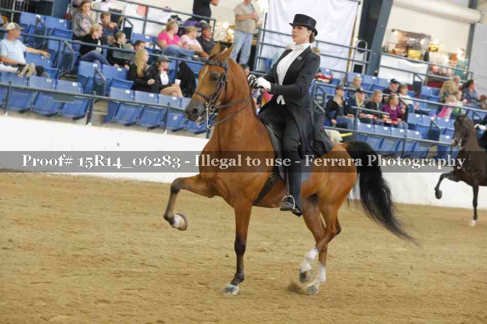 Proof 15R14_06283