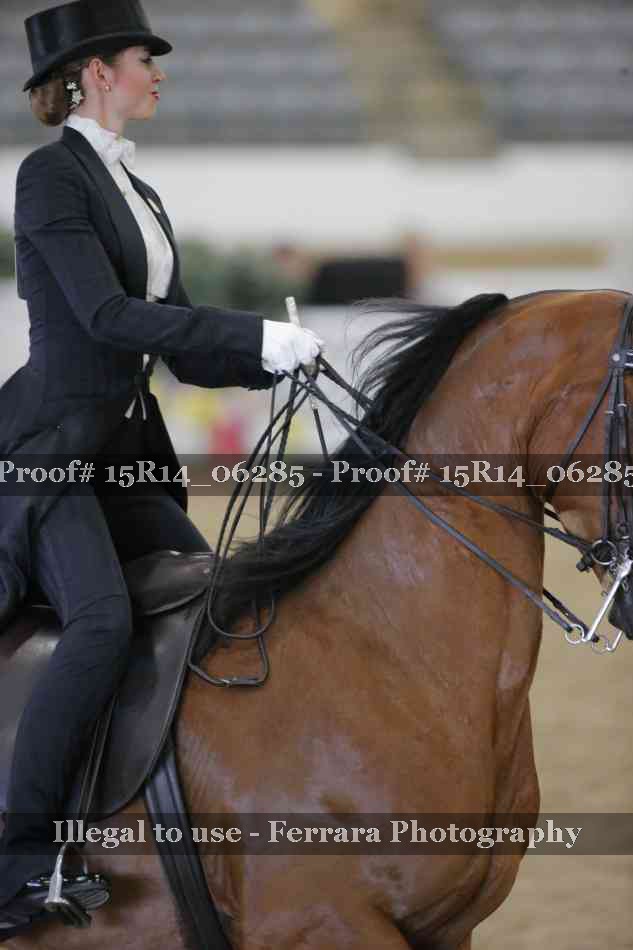Proof 15R14_06285