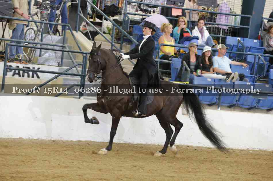 Proof 15R14_06286