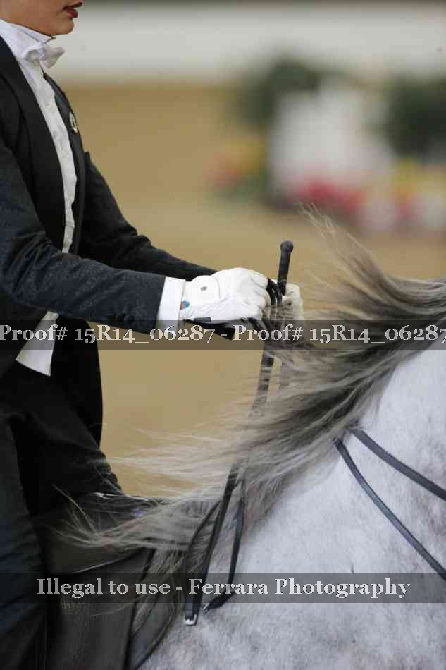 Proof 15R14_06287