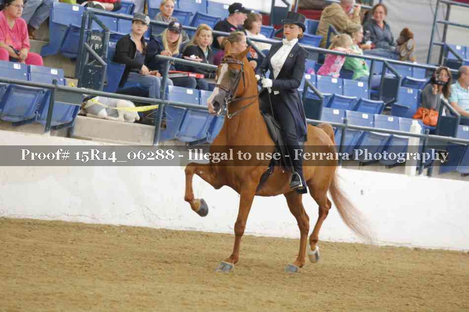 Proof 15R14_06288