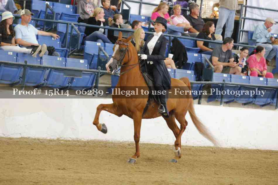 Proof 15R14_06289